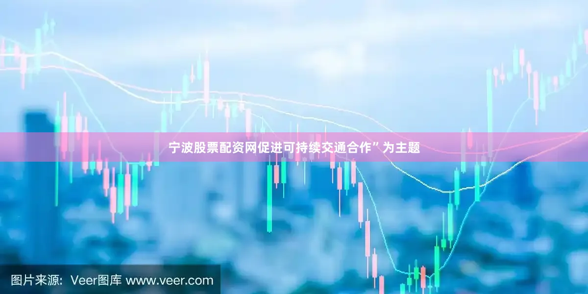 宁波股票配资网促进可持续交通合作”为主题