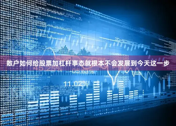 散户如何给股票加杠杆事态就根本不会发展到今天这一步